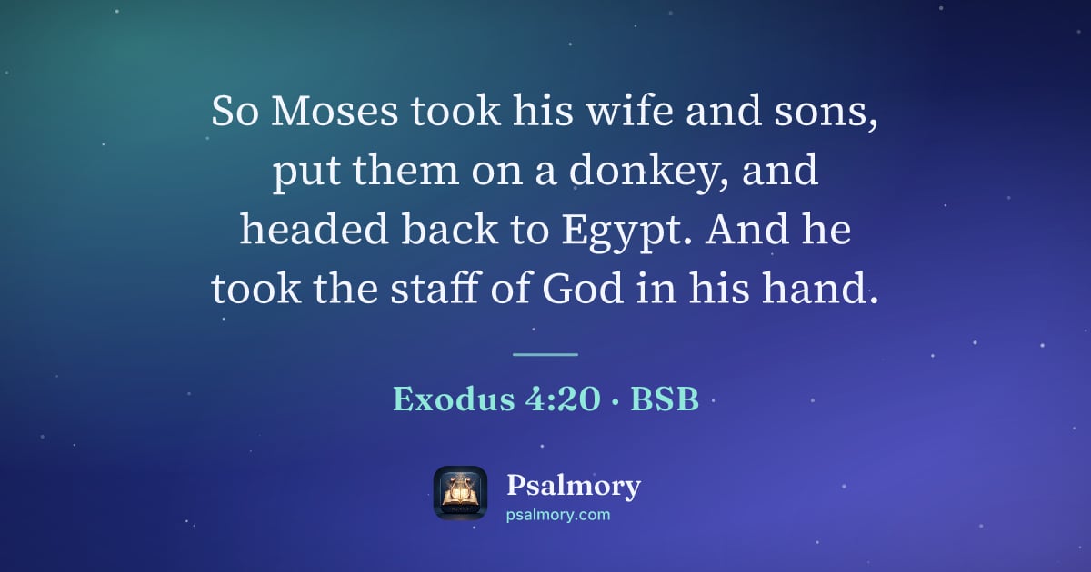 Exodus 4:20 verse artwork: So Moses took his wife and sons, put them on a donkey, and headed back to Egypt. And he…