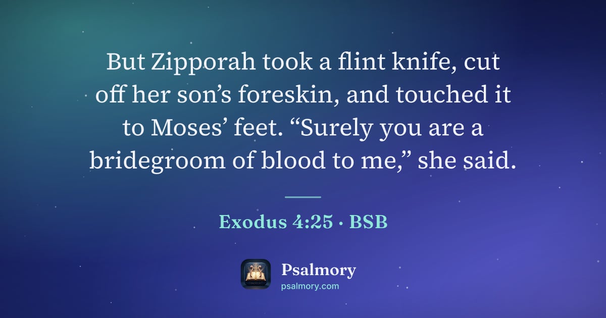 Exodus 4:25 verse artwork: But Zipporah took a flint knife, cut off her son’s foreskin, and touched it to Moses’…