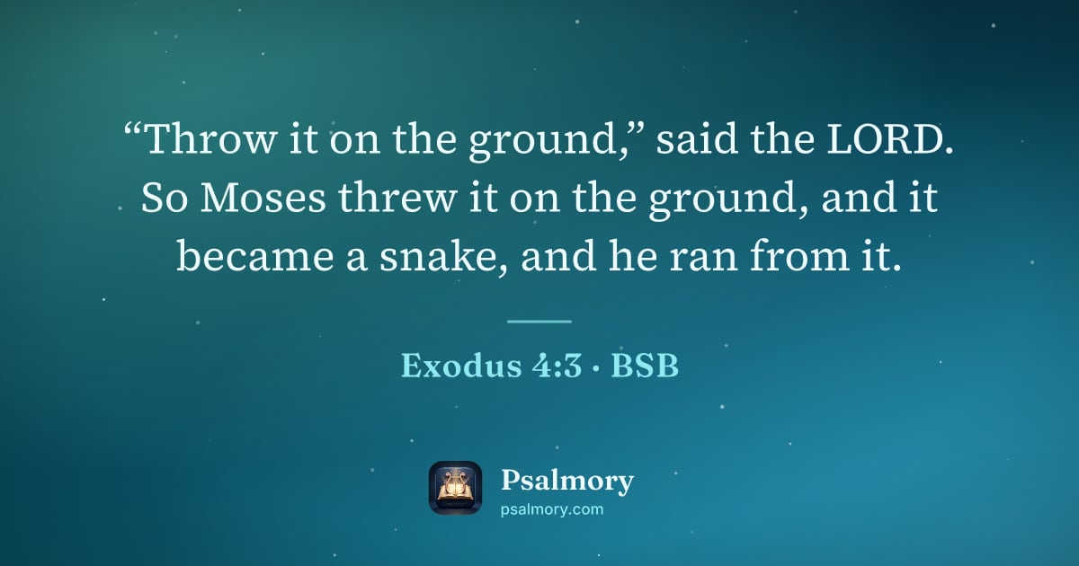 Exodus 4:3 verse artwork: “Throw it on the ground,” said the LORD. So Moses threw it on the ground, and it became…