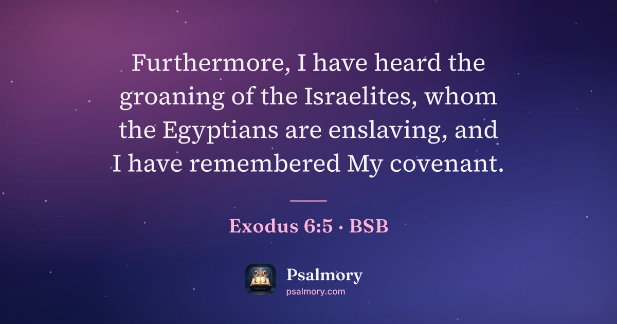 Exodus 6:5 verse artwork: Furthermore, I have heard the groaning of the Israelites, whom the Egyptians are…