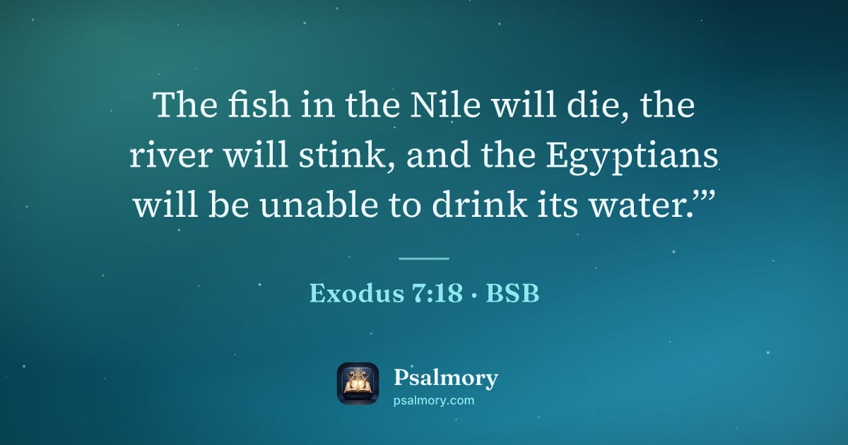 Exodus 7:18 verse artwork: The fish in the Nile will die, the river will stink, and the Egyptians will be unable to…