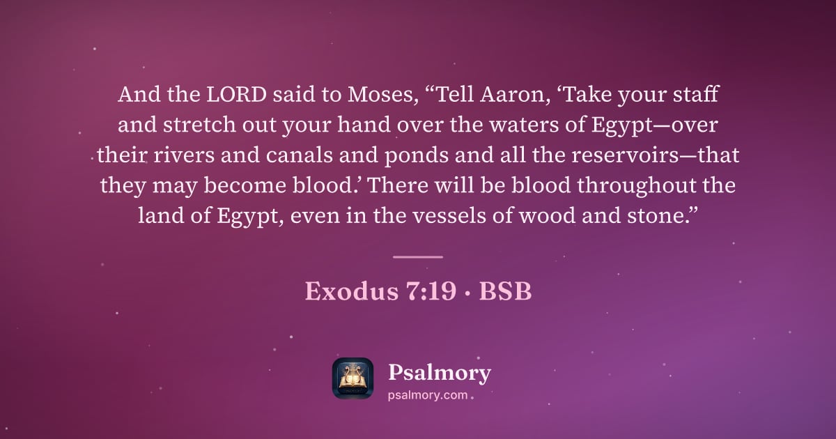 Exodus 7:19 verse artwork: And the LORD said to Moses, “Tell Aaron, ‘Take your staff and stretch out your hand over…