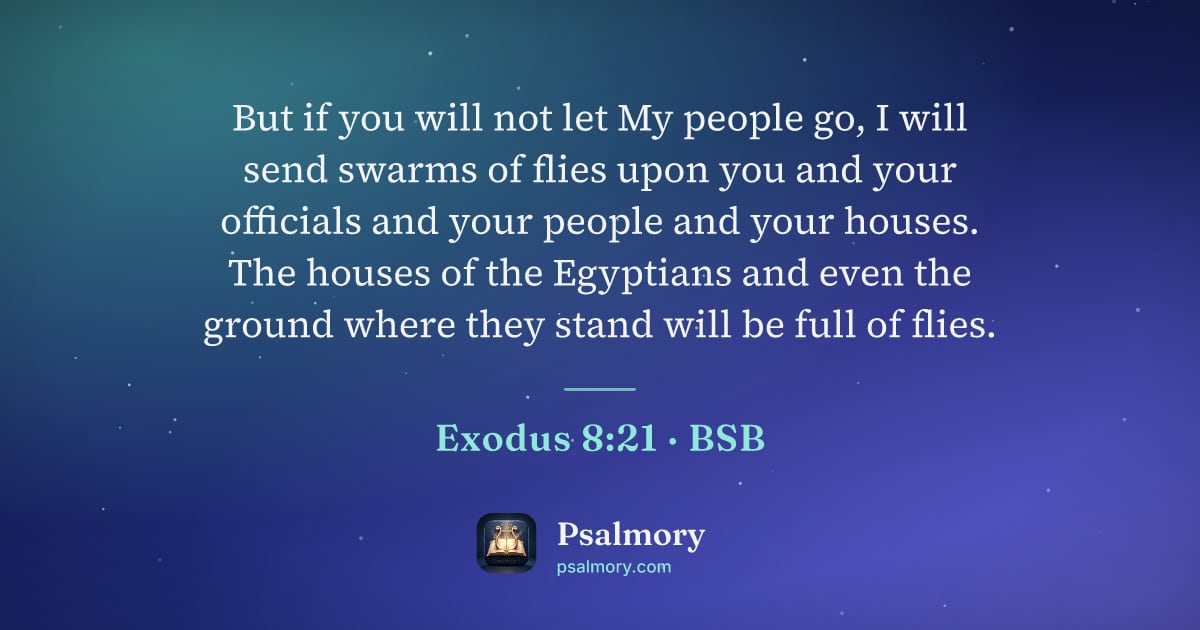 Exodus 8:21 verse artwork: But if you will not let My people go, I will send swarms of flies upon you and your…