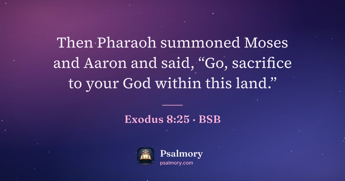 Exodus 8:25 verse artwork: Then Pharaoh summoned Moses and Aaron and said, “Go, sacrifice to your God within this…