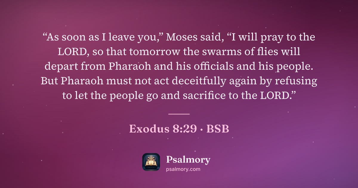 Exodus 8:29 verse artwork: “As soon as I leave you,” Moses said, “I will pray to the LORD, so that tomorrow the…