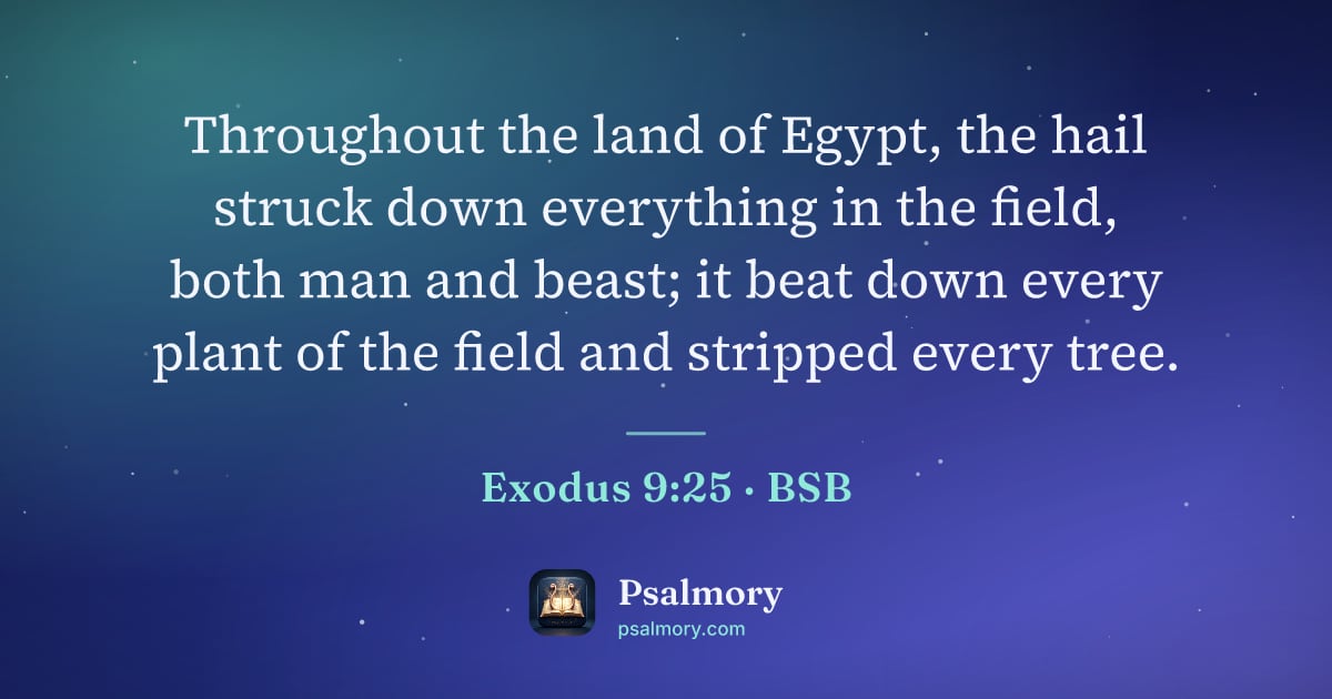 Exodus 9:25 verse artwork: Throughout the land of Egypt, the hail struck down everything in the field, both man and…