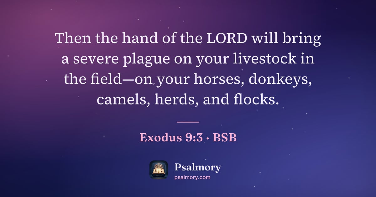Exodus 9:3 verse artwork: Then the hand of the LORD will bring a severe plague on your livestock in the field—on…