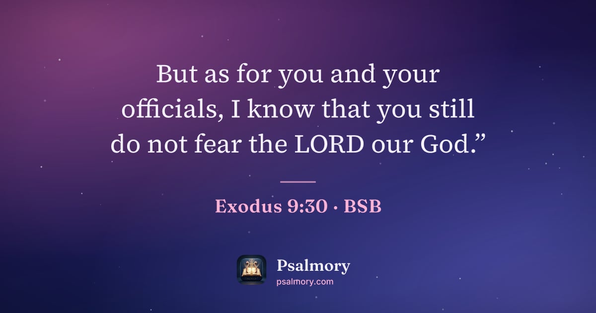 Exodus 9:30 verse artwork: But as for you and your officials, I know that you still do not fear the LORD our God.”