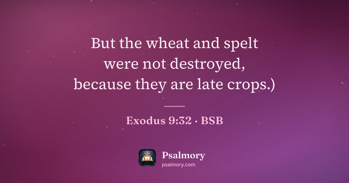 Exodus 9:32 verse artwork: But the wheat and spelt were not destroyed, because they are late crops.)
