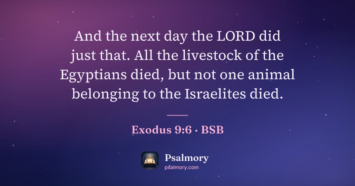 Exodus 9:6 verse artwork: And the next day the LORD did just that. All the livestock of the Egyptians died, but…