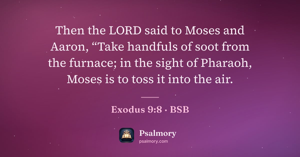 Exodus 9:8 verse artwork: Then the LORD said to Moses and Aaron, “Take handfuls of soot from the furnace; in the…