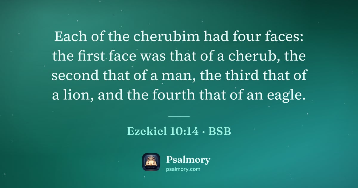 Ezekiel 10:14 verse artwork: Each of the cherubim had four faces: the first face was that of a cherub, the second…