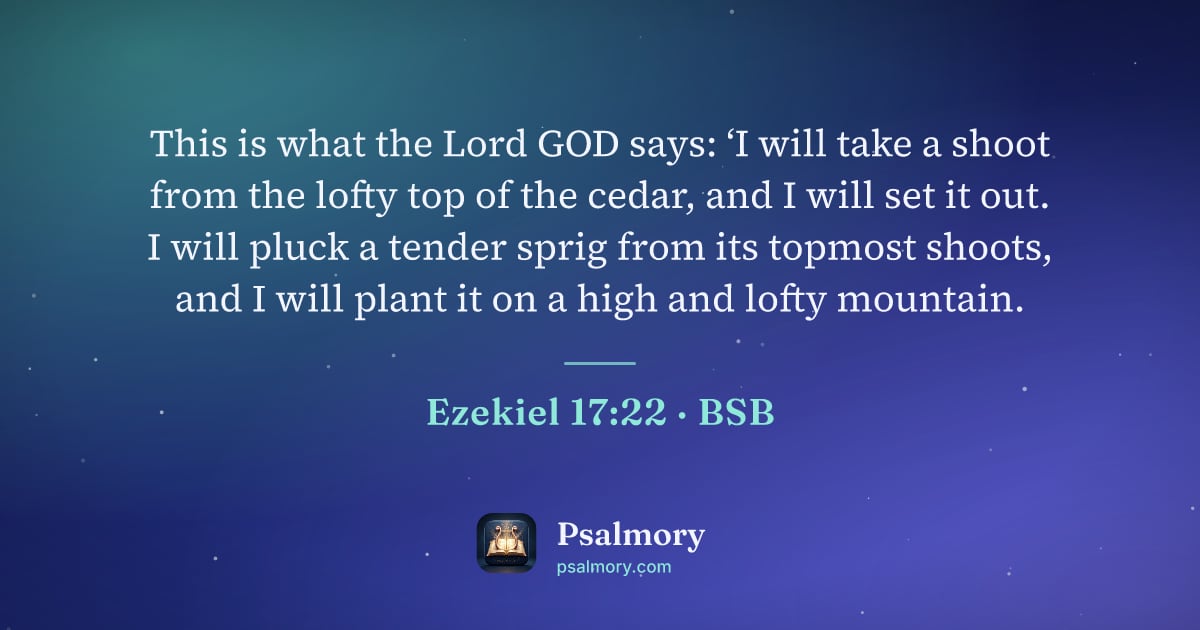 Ezekiel 17:22 verse artwork: This is what the Lord GOD says: ‘I will take a shoot from the lofty top of the cedar,…