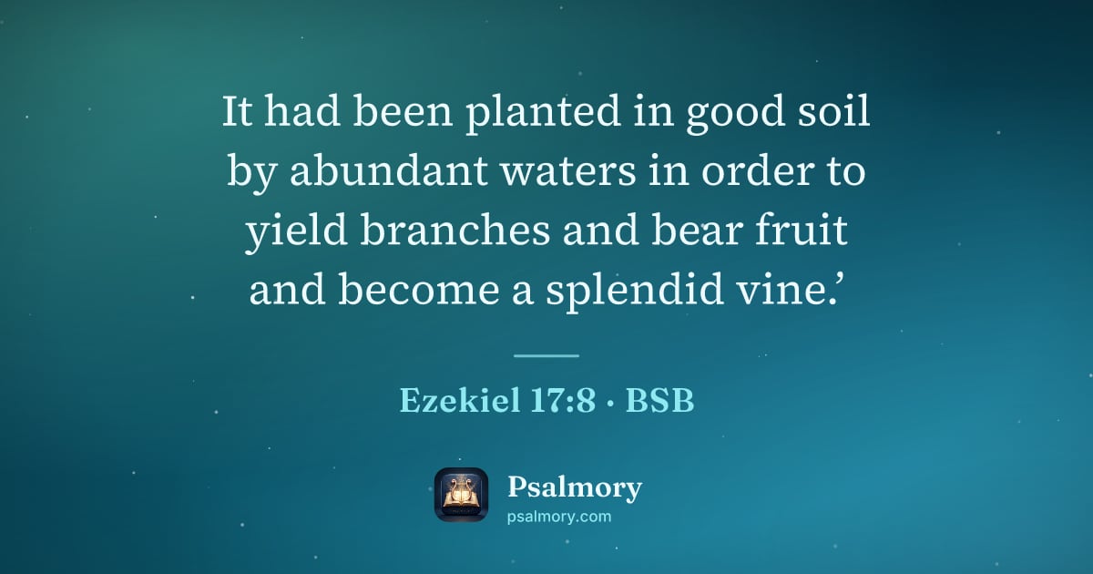 Ezekiel 17:8 verse artwork: It had been planted in good soil by abundant waters in order to yield branches and bear…