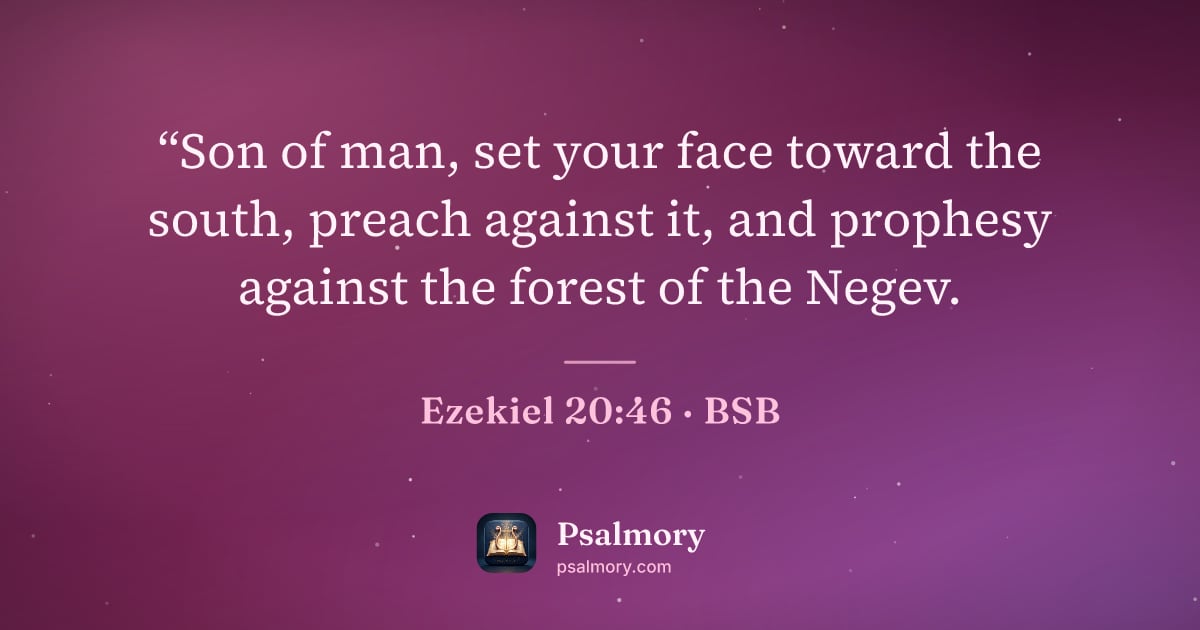 Ezekiel 20:46 verse artwork: “Son of man, set your face toward the south, preach against it, and prophesy against the…