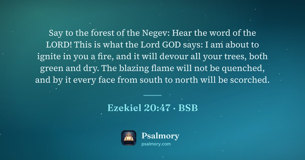 Ezekiel 20:47 verse artwork: Say to the forest of the Negev: Hear the word of the LORD! This is what the Lord GOD…
