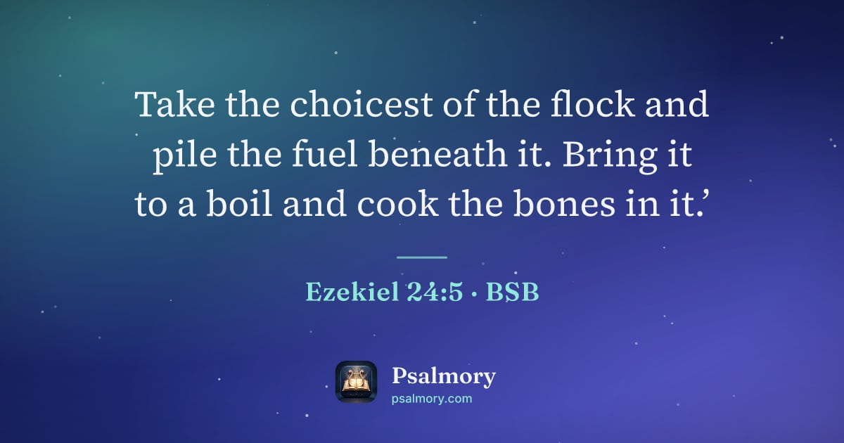 Ezekiel 24:5 verse artwork: Take the choicest of the flock and pile the fuel beneath it. Bring it to a boil and cook…