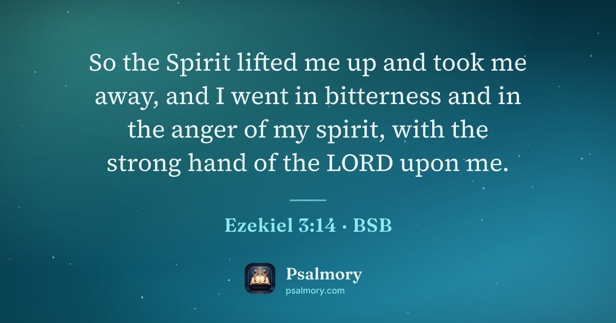 Ezekiel 3:14 verse artwork: So the Spirit lifted me up and took me away, and I went in bitterness and in the anger…