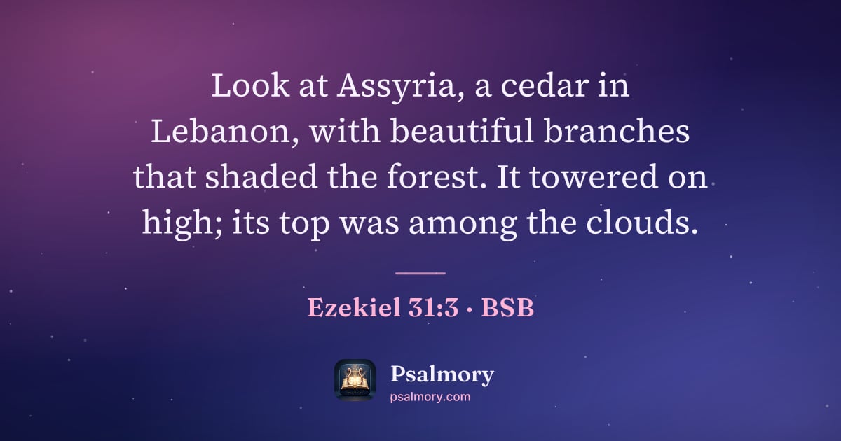 Ezekiel 31:3 verse artwork: Look at Assyria, a cedar in Lebanon, with beautiful branches that shaded the forest. It…