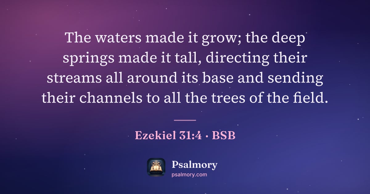 Ezekiel 31:4 verse artwork: The waters made it grow; the deep springs made it tall, directing their streams all…