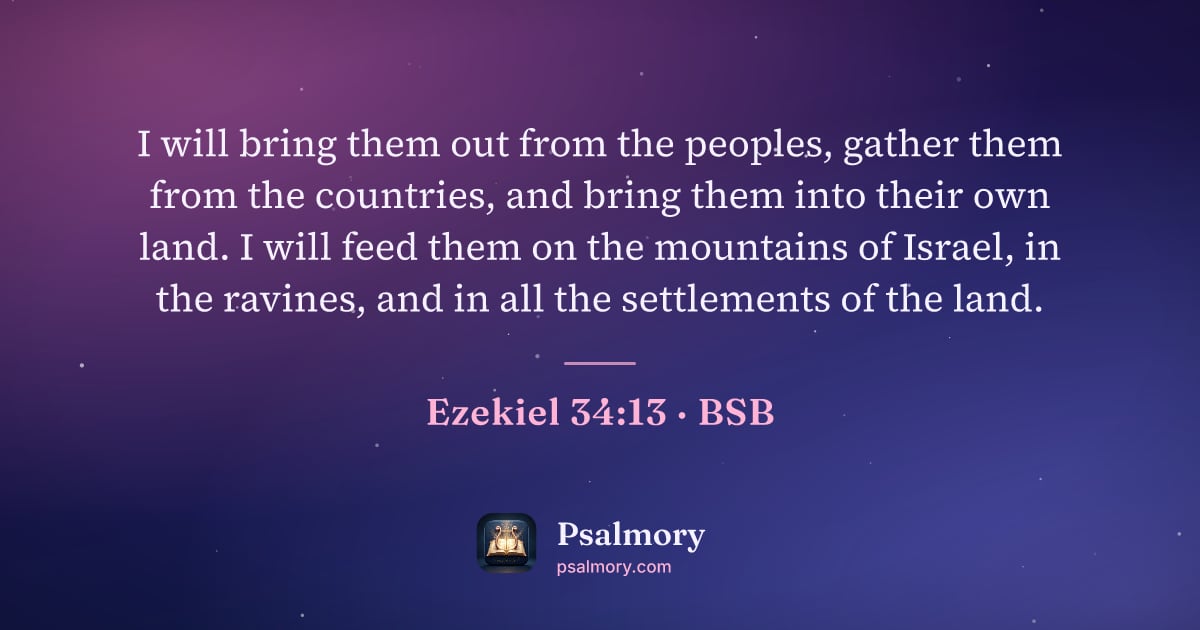 Ezekiel 34:13 verse artwork: I will bring them out from the peoples, gather them from the countries, and bring them…