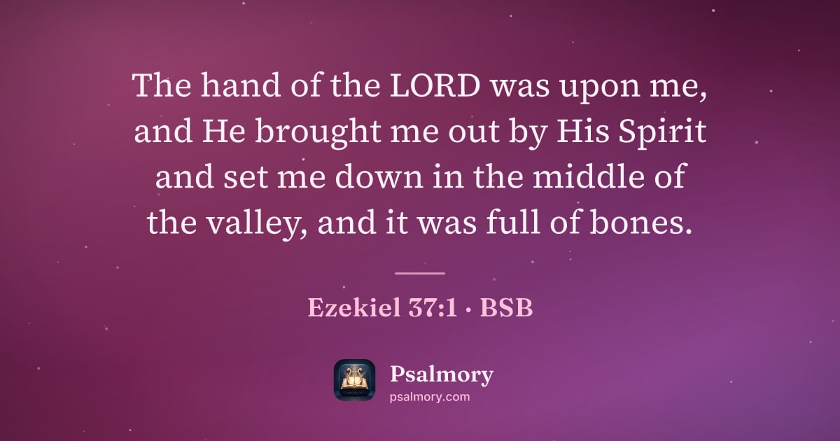 Ezekiel 37:1 verse artwork: The hand of the LORD was upon me, and He brought me out by His Spirit and set me down in…