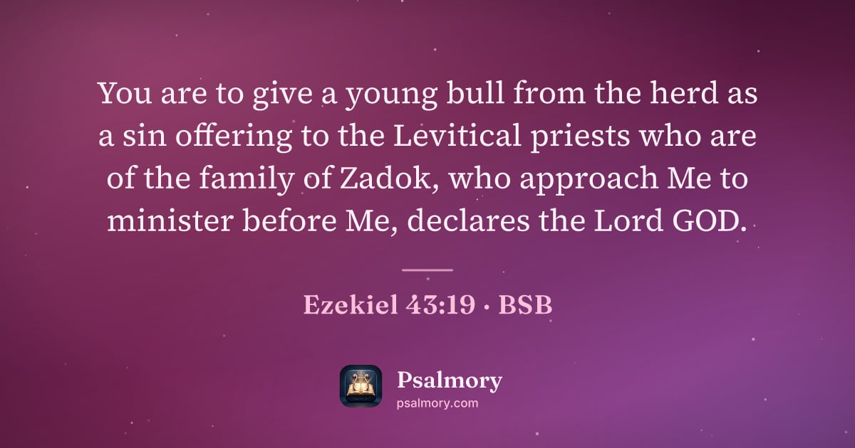 Ezekiel 43:19 verse artwork: You are to give a young bull from the herd as a sin offering to the Levitical priests…