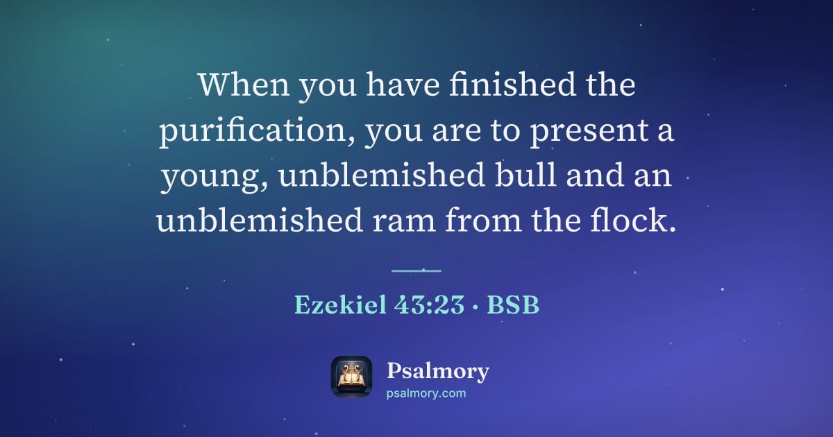 Ezekiel 43:23 verse artwork: When you have finished the purification, you are to present a young, unblemished bull…