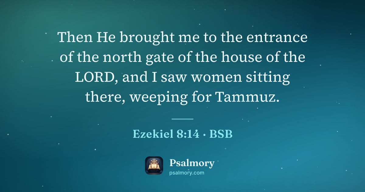 Ezekiel 8:14 verse artwork: Then He brought me to the entrance of the north gate of the house of the LORD, and I saw…