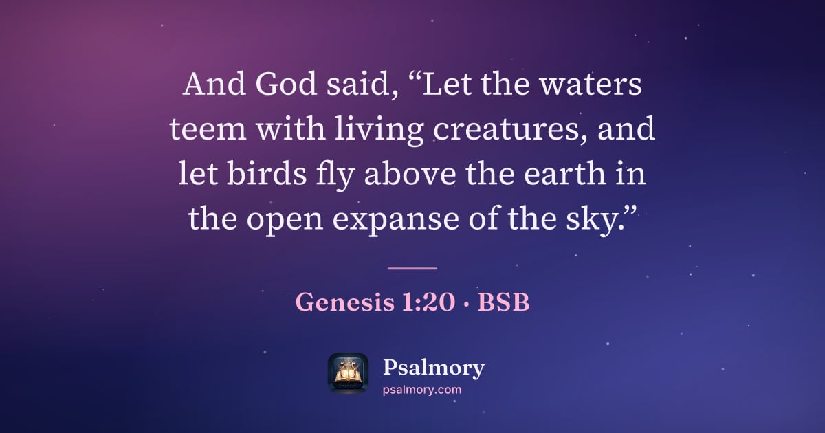 Genesis 1:20 verse artwork: And God said, “Let the waters teem with living creatures, and let birds fly above the…
