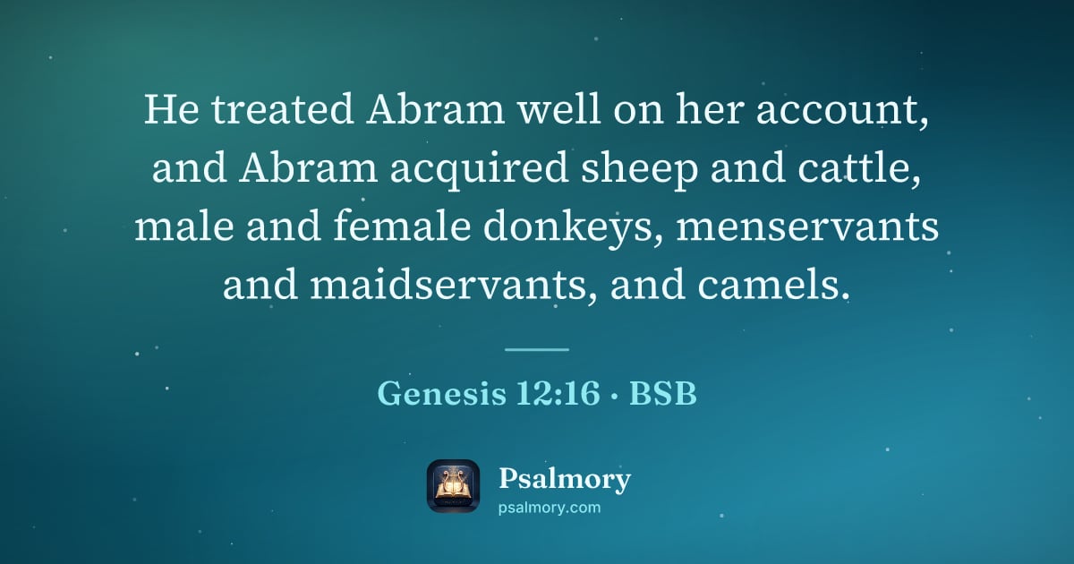 Genesis 12:16 verse artwork: He treated Abram well on her account, and Abram acquired sheep and cattle, male and…