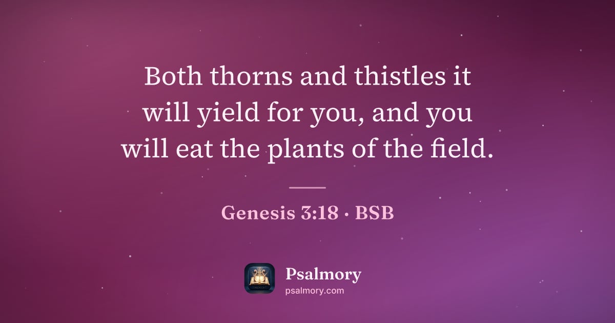 Genesis 3:18 verse artwork: Both thorns and thistles it will yield for you, and you will eat the plants of the field.