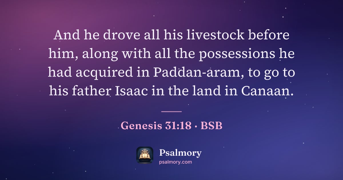 Genesis 31:18 verse artwork: And he drove all his livestock before him, along with all the possessions he had…