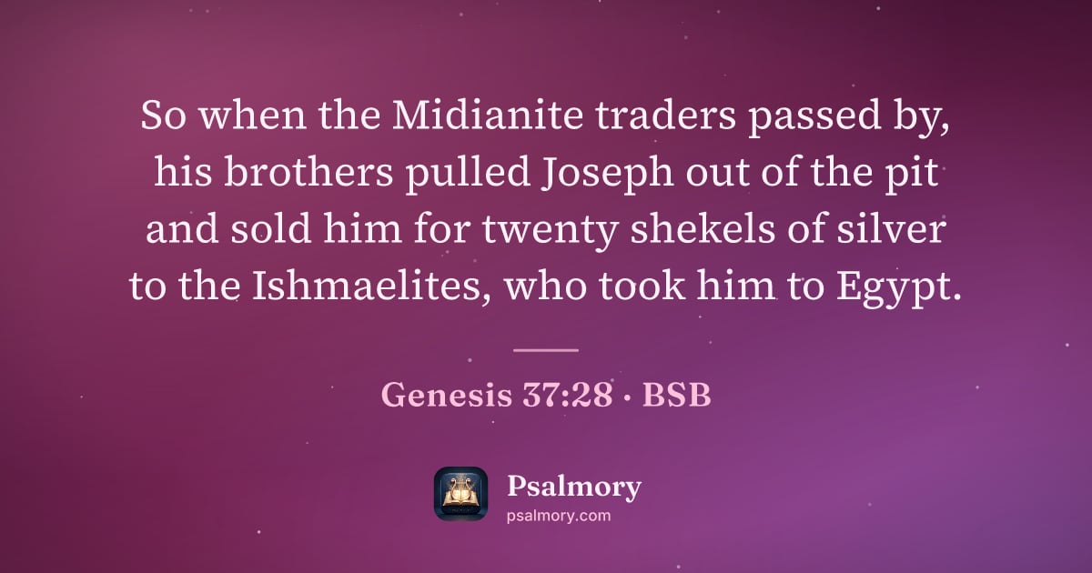 Genesis 37:28 verse artwork: So when the Midianite traders passed by, his brothers pulled Joseph out of the pit and…