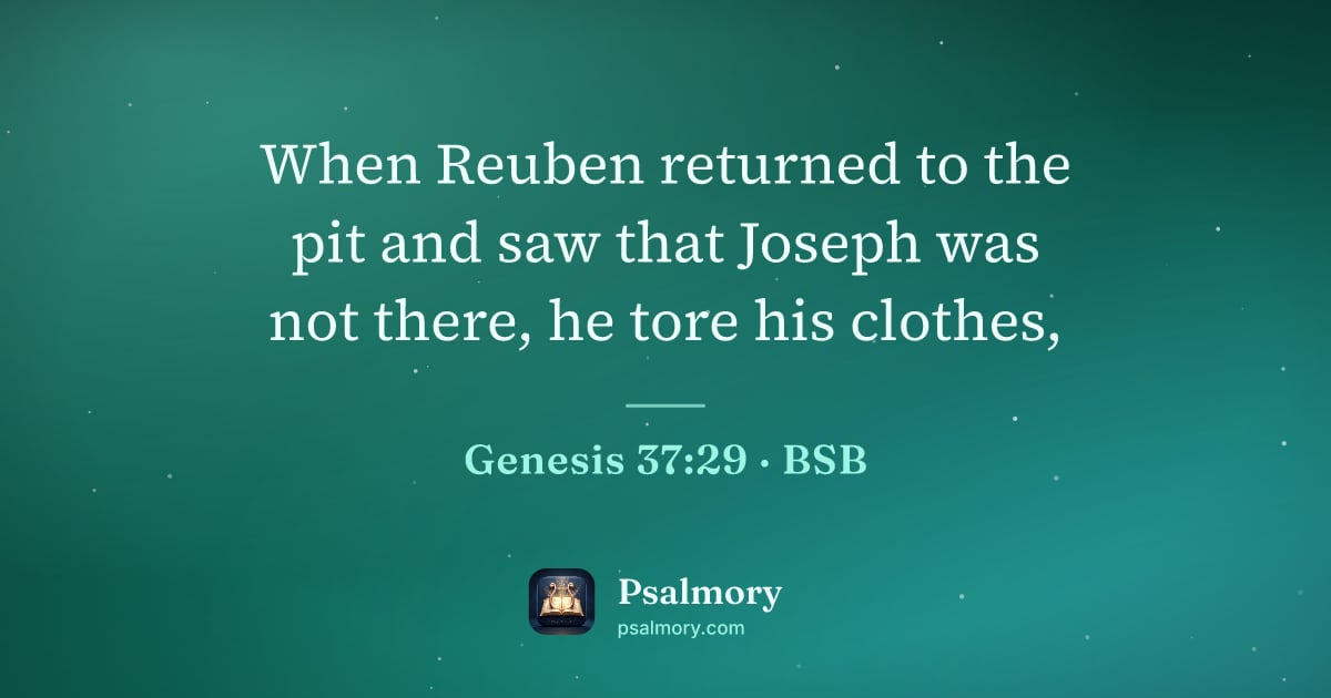 Genesis 37:29 verse artwork: When Reuben returned to the pit and saw that Joseph was not there, he tore his clothes,