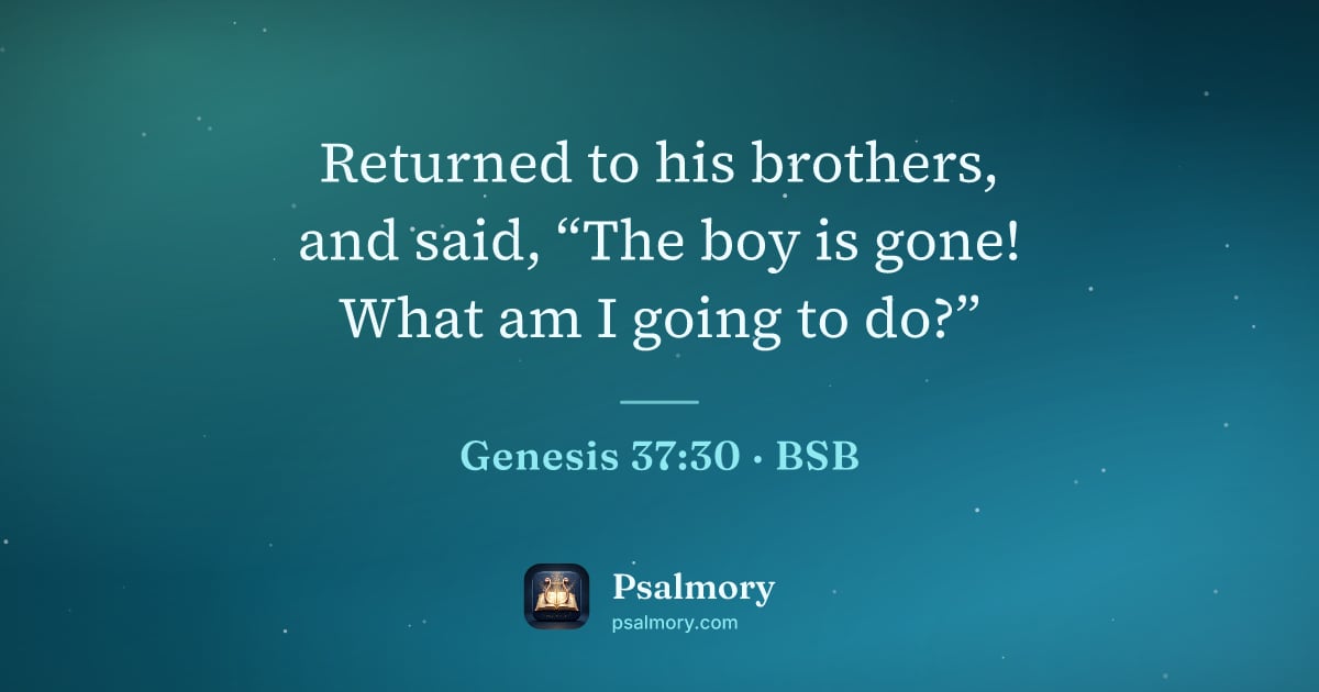 Genesis 37:30 verse artwork: Returned to his brothers, and said, “The boy is gone! What am I going to do?”