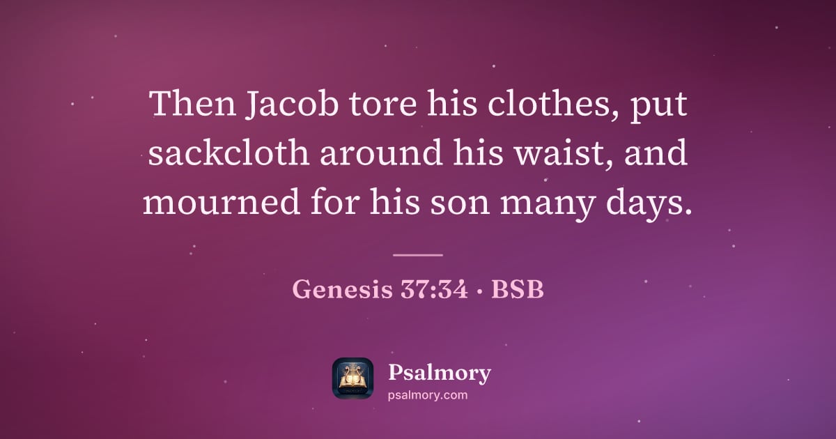 Genesis 37:34 verse artwork: Then Jacob tore his clothes, put sackcloth around his waist, and mourned for his son…