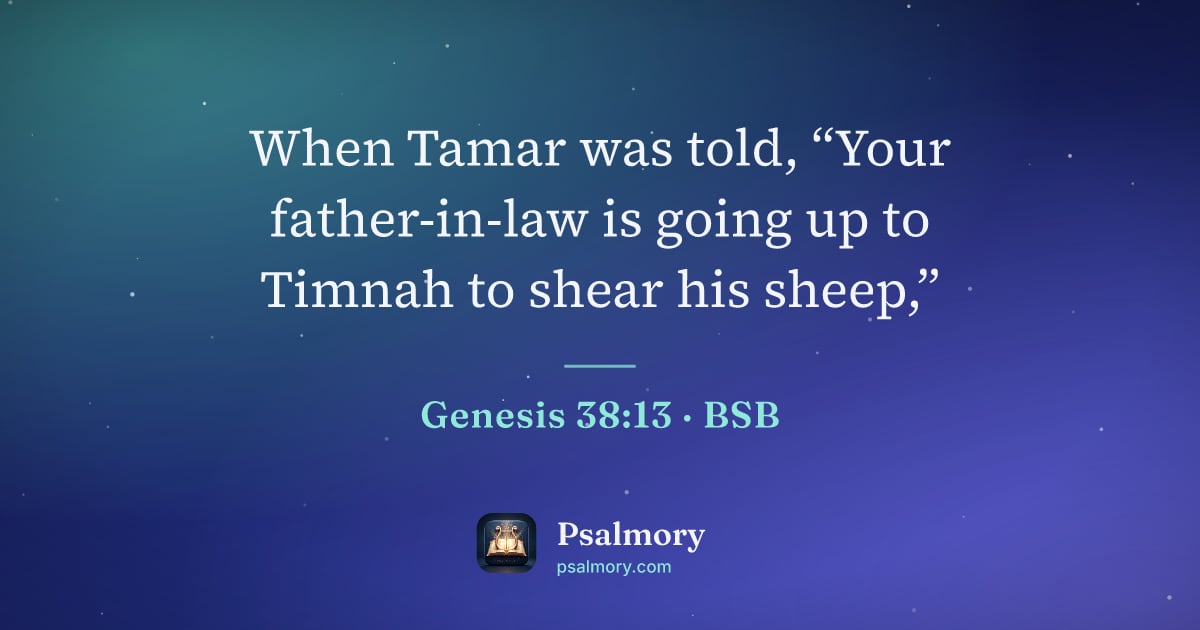 Genesis 38:13 verse artwork: When Tamar was told, “Your father-in-law is going up to Timnah to shear his sheep,”