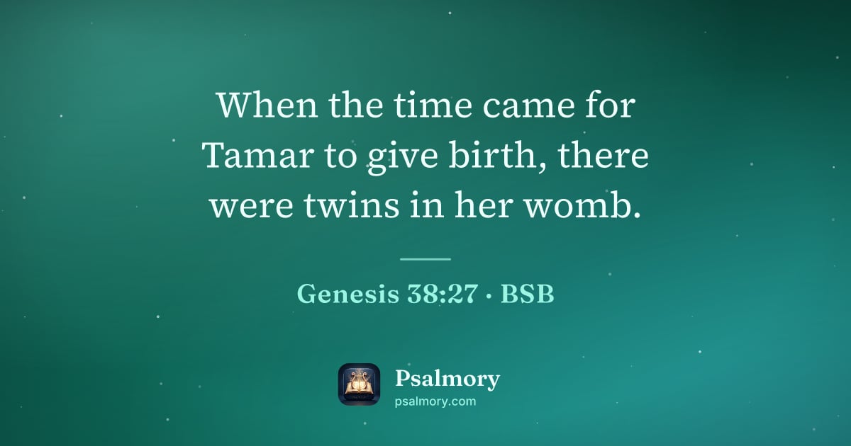 Genesis 38:27 verse artwork: When the time came for Tamar to give birth, there were twins in her womb.