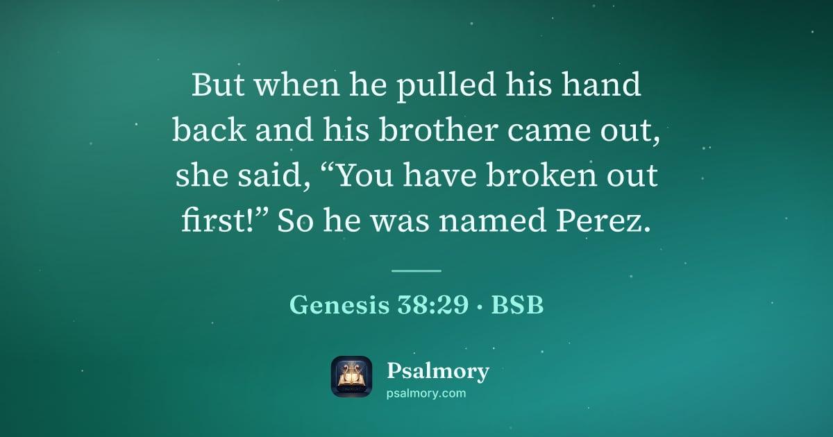 Genesis 38:29 verse artwork: But when he pulled his hand back and his brother came out, she said, “You have broken…