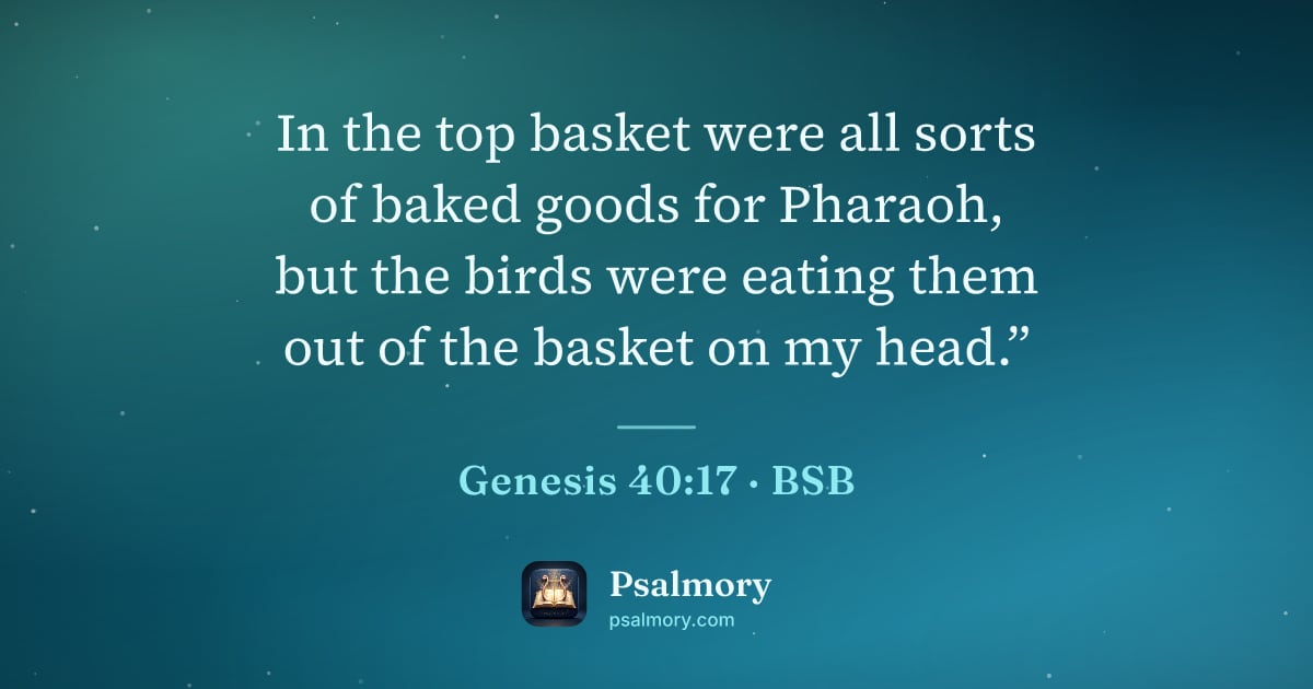 Genesis 40:17 verse artwork: In the top basket were all sorts of baked goods for Pharaoh, but the birds were eating…