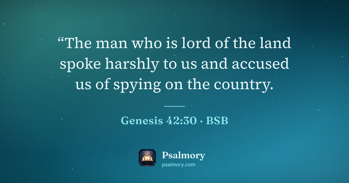 Genesis 42:30 verse artwork: “The man who is lord of the land spoke harshly to us and accused us of spying on the…