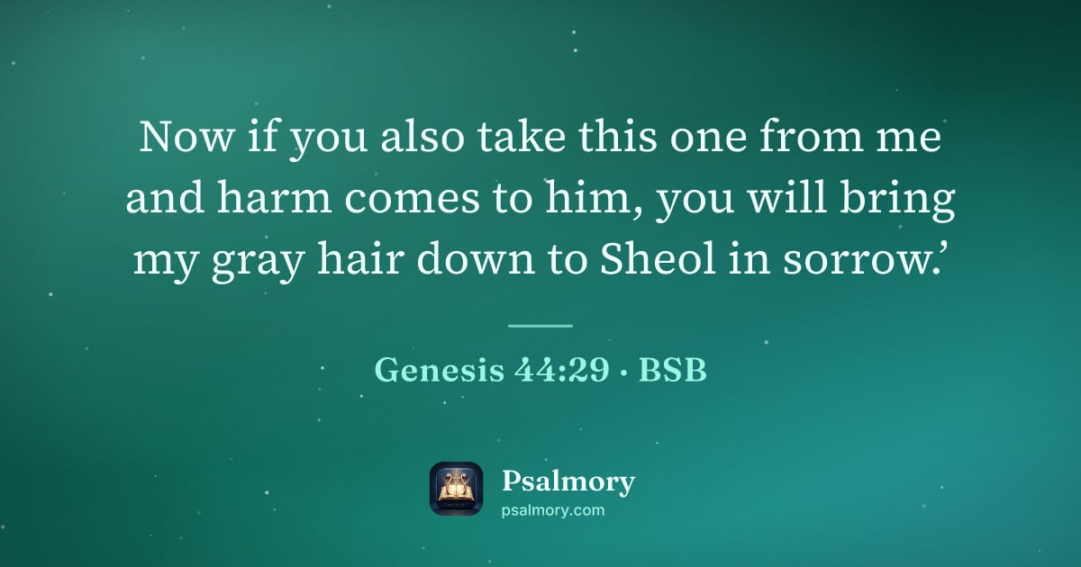 Genesis 44:29 verse artwork: Now if you also take this one from me and harm comes to him, you will bring my gray hair…