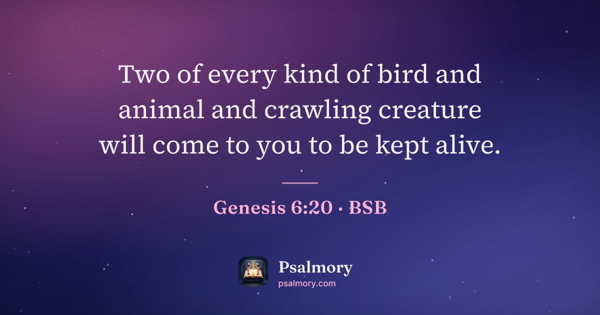 Genesis 6:20 verse artwork: Two of every kind of bird and animal and crawling creature will come to you to be kept…