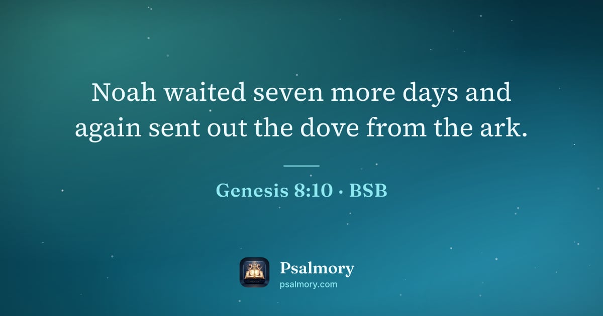 Genesis 8:10 verse artwork: Noah waited seven more days and again sent out the dove from the ark.