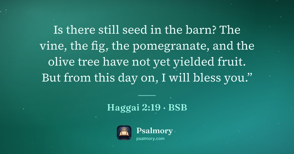 Haggai 2:19 verse artwork: Is there still seed in the barn? The vine, the fig, the pomegranate, and the olive tree…