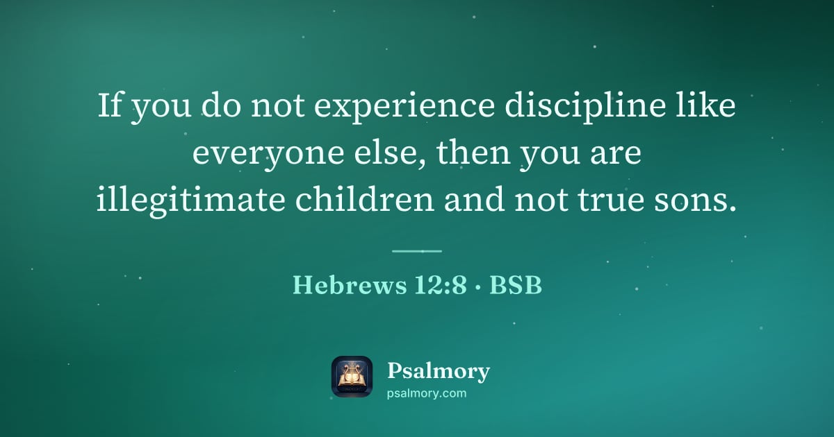 Hebrews 12:8 verse artwork: If you do not experience discipline like everyone else, then you are illegitimate…