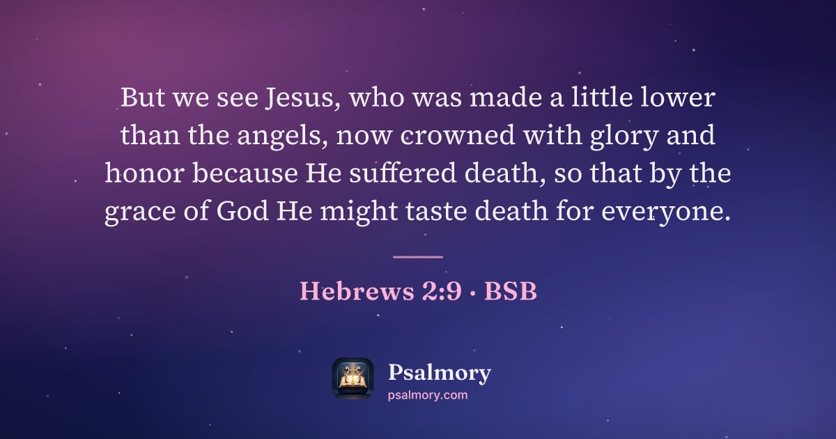 Hebrews 2:9 verse artwork: But we see Jesus, who was made a little lower than the angels, now crowned with glory…
