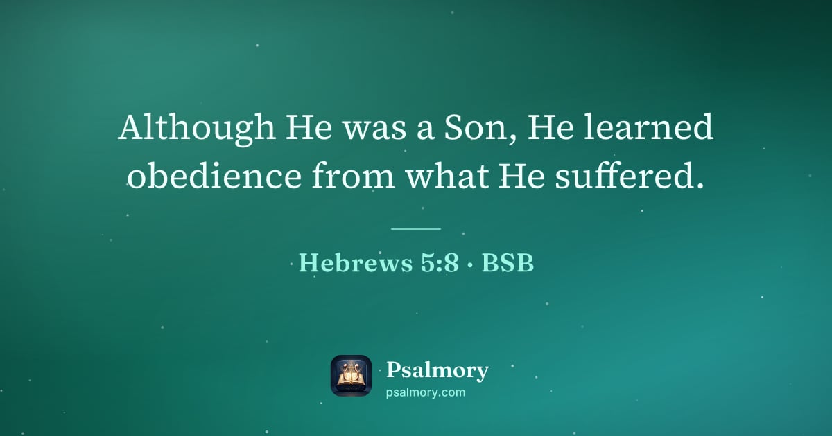 Hebrews 5:8 verse artwork: Although He was a Son, He learned obedience from what He suffered.