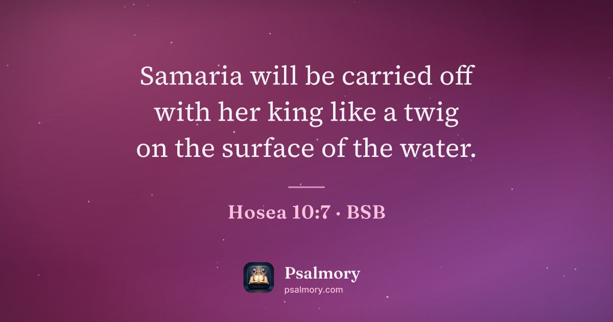 Hosea 10:7 verse artwork: Samaria will be carried off with her king like a twig on the surface of the water.